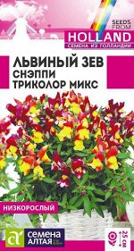 Львиный зев Снэппи Триколор микс 10 шт