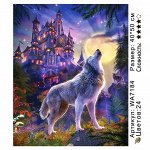 Картины по номерам 40х50 см
