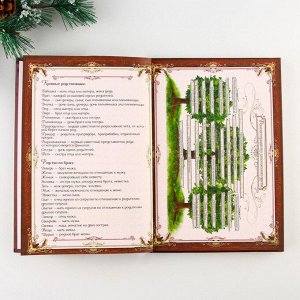 Зимнее волшебство Родословная книга с пером в шкатулке «Сказочного нового года», 26 х 8 х 27 см, набор