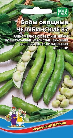 Бобы овощные Челябинские 87