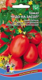 Томат Чудо на засол