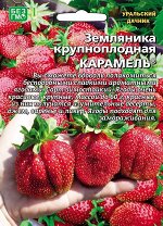 Земляника Карамель - крупноплодная