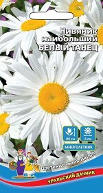 Цветы Нивяник наибольший Белый танец