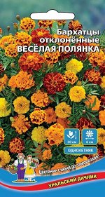 Цветы Бархатцы отклоненные Веселая Полянка