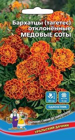 Цветы Бархатцы отклоненные Медовые соты