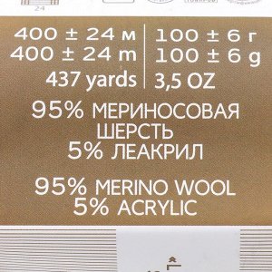 Пряжа "Австралийский меринос" 95%мер.шерсть,5% акрил объёмный400м/100гр (189-Ярко-оранжевый)