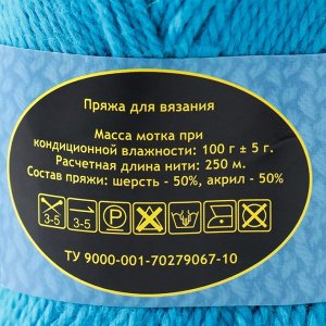 Пряжа "Соната" акрил 50%, шерсть п/т 50% 250м/100гр (024 бирюза)