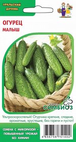 Огурец Малыш (Симбиоз)