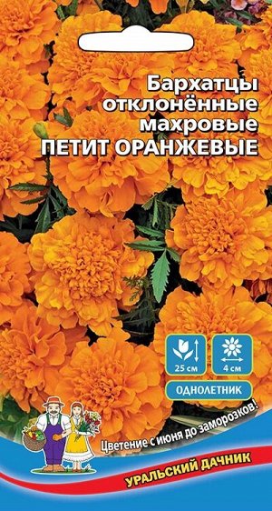Цветы Бархатцы отклоненные Петит Оранжевые - махровые