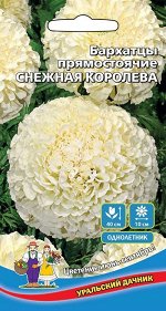Цветы Бархатцы прямостоячие Снежная королева