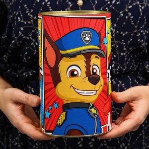 Копилка XXL "На исполнение моей мечты!" , Paw Patrol 20,5 см х 12 см х 12 см