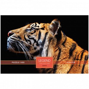 Пазл 500 эл. Hatber Premium ""Legend Art Series. Взгляд тигра"", подарочная коробка + Постер