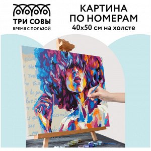 Картина по номерам на холсте 40*50см ТРИ СОВЫ ""Силуэт"", 40*50, с акриловыми красками и кистями