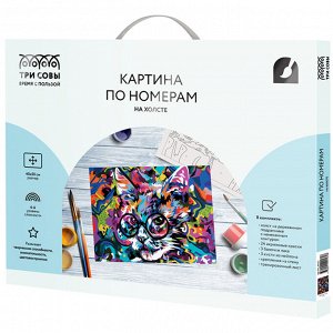 Картина по номерам на холсте 40*50см ТРИ СОВЫ ""Абстрактный кот"", 40*50, с акриловыми красками и кистями