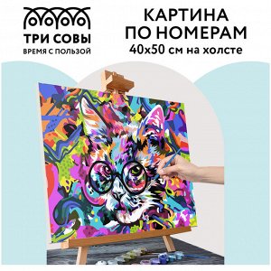 Картина по номерам на холсте 40*50см ТРИ СОВЫ ""Абстрактный кот"", 40*50, с акриловыми красками и кистями