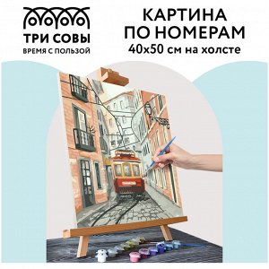 Картина по номерам на холсте 40*50см ТРИ СОВЫ &quot;&quot;Трамвай&quot;&quot;, 40*50, с акриловыми красками и кистями