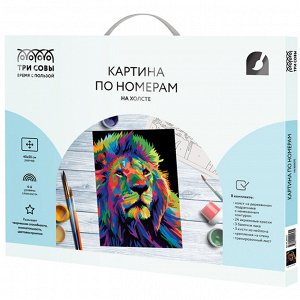 Картина по номерам на холсте 40*50см ТРИ СОВЫ ""Яркие краски"", 40*50, с акриловыми красками и кистями