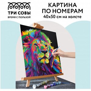 Картина по номерам на холсте 40*50см ТРИ СОВЫ &quot;&quot;Яркие краски&quot;&quot;, 40*50, с акриловыми красками и кистями