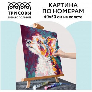 Картина по номерам на холсте 40*50см ТРИ СОВЫ ""Друг"", 40*50, с акриловыми красками и кистями