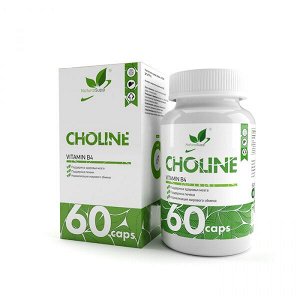 Витамины отдельные NaturalSupp Choline Bitartrate (B4) 500mg 60 caps