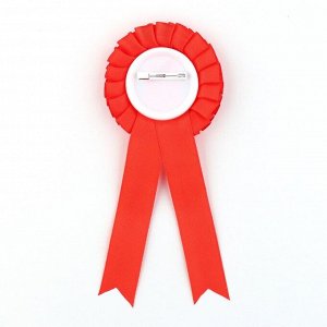 Значок - орден «Выпускник детского сада», d = 6,7 см