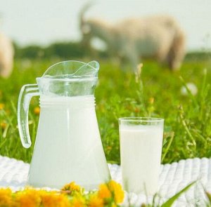 Отдушка Козье молоко (Украина), 10мл