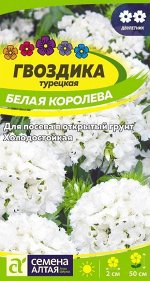 Цветы Гвоздика турецкая Белая Королева/Сем Алт/цп 0,2 гр. двулетник