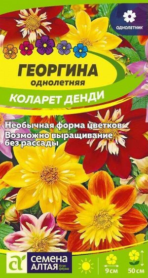 Цветы Георгина Коларет Денди 0,3 гр