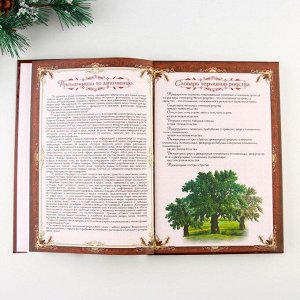 Родословная книга с пером в шкатулке «С Новым годом», 26 х 8 х 27 см, набор