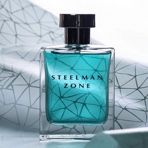 Мужская LA VIE Т/вода 100 мл Steelman Zone (Chrome by Azzaro)