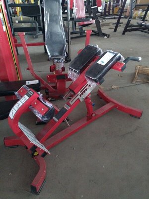 Гиперэкстензия наклонная Insight Fitness TM89