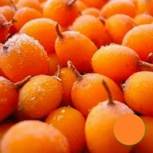 Облепиха замороженная 500 г (+-10г)