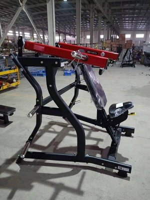 Жим от плеч Insight Fitness TN24