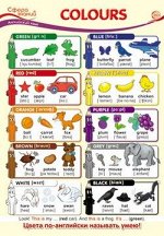 ПЛАКАТ Анг яз Colours (Цвета) А3 ПО-13436