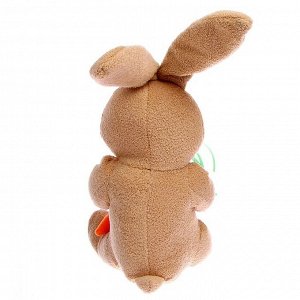СИМА-ЛЕНД Мягкая игрушка «Кролик с морковкой», 20 см, виды МИКС