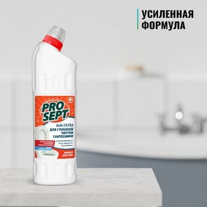 Чистящее средство для сантехники Prosept Bath Extra, концентрат, 1 л