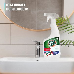 Средство для удаления плесени с дезинфицирующим эффектом Bath Fungy. Концентрат, 0,5л