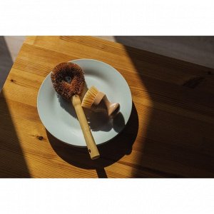 Щётка для чистки посуды Доляна, 8x4,5x23 см, щетина кокос, деревянная ручка