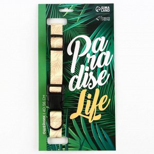 Ошейник Paradise life, застёжка - фастекс, 2.5 см, 40-55 см