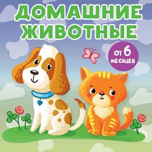 Игнатова А.С. Домашние животные