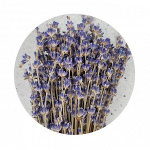 Лаванда сушеная букет (пищевая), 50гр