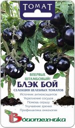 Томат Блэк Бой 10 шт.Уникальный томат с фиолетовочерными плодами, имеющий суперкомпактный штамбовый куст