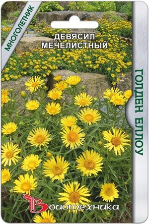 Девясил мечелистный Голден Еллоу 30 шт.Сильно ветвистое, образующее цветущую подушку, морозостойкое растение