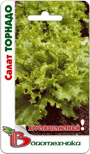 Салат Торнадо 0,5 гОтносится к группе листовых салатов.