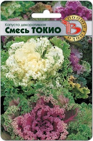 Капуста декоративная Токио 50 шт.Огромную популярность приобрело в Японии, благодаря волшебной красоте осенью и зимой.