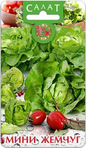 Салат-ромен Мини Жемчуг 0,2 гКлассический салат в качестве главного ингредиента салата “Цезарь”