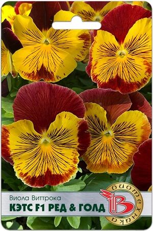 Виола Виттрока Кэтс F1 Ред&Голд 10 шт.Любопытная окраска крупных цветов, диаметром 6-7 см