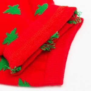 Носки женские «Ёлочки» цвет красный, размер 23-25