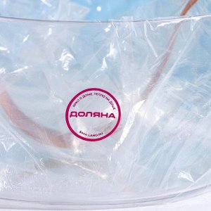 Ведёрко для льда Доляна, 2,6 л, 21x21x10 см, цвет прозрачный