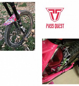Велосипедное крыло (Щиток) PASS QUEST SVALIN P1 (RED LIPS)